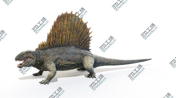 images/goods_img/20210312/3D Dimetrodon/2.jpg